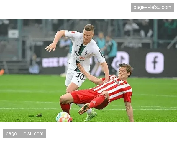 海登海姆胜率13.8%提前锁定降级 重返德甲希望渺茫